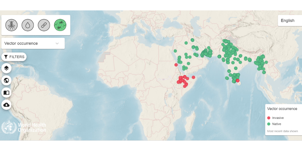 Why Should We Worry About Anopheles Stephensi In Africa? | LSHTM